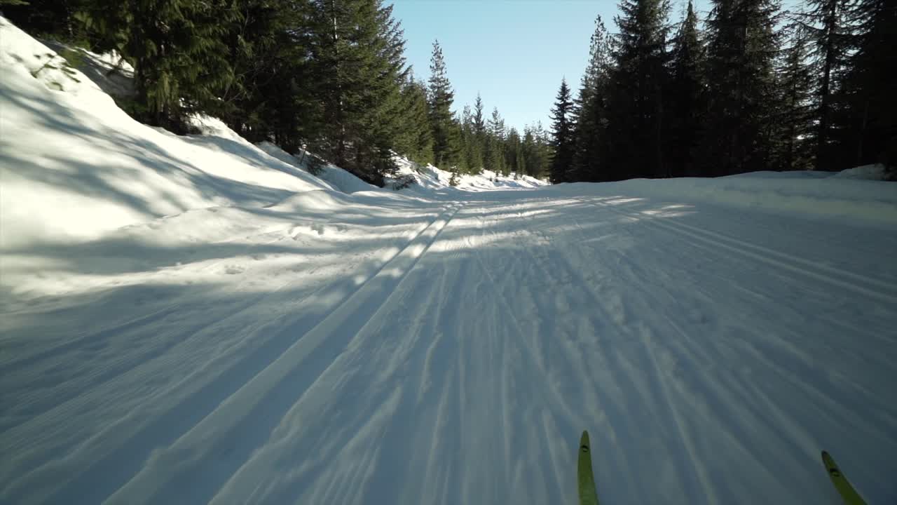 Point of View shot of cross country ski gliding on a ski trail