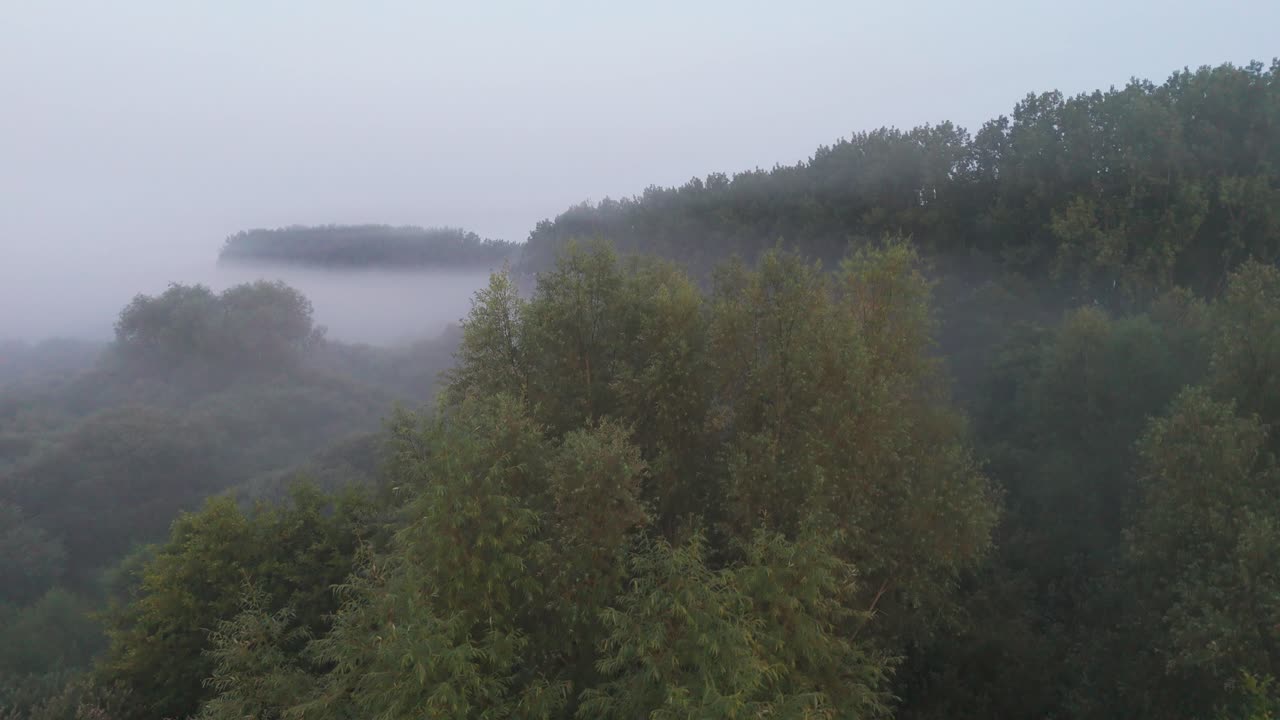 노리치 강 의 나무 꼭대기 를 고 있는 두꺼운 안개 의 공중 촬영