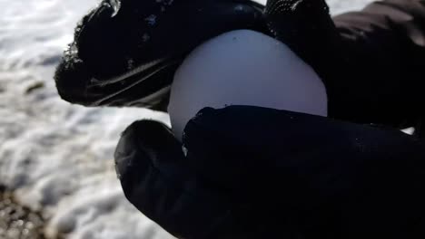 Rolling-big-snow-ball-between-gloved-hands-in-black-forest,-Germany