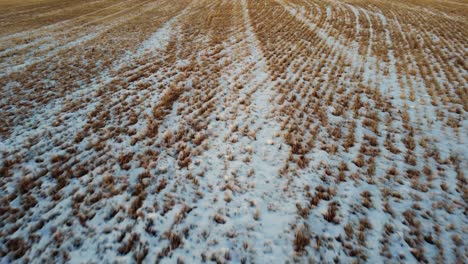 Paso-Elevado-Bajo-De-Un-Campo-De-Trigo-Biselado-En-Invierno-En-Alberta,-Canadá