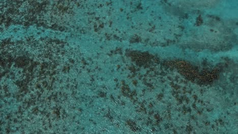 Aerial-Blue-water-surface-coral-bay-view