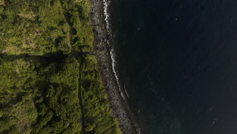 Pueblo-Costero-Rural-Desde-Arriba-Con-Campos-De-Cultivo,-Exuberante-Paisaje-De-Acantilados-Verdes-Sobre-El-Atlántico,-Fajã-Dos-Vimes,-Isla-De-São-Jorge,-Las-Azores,-Portugal