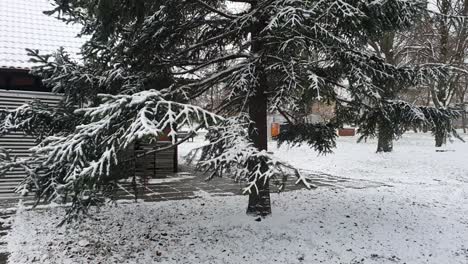 Schwenk-Nach-Rechts-Berlin-Im-Winter-Im-Park-Tempelhöferfeld-Schneebedeckte-Bäume-HD-30-Fps-6-Sek