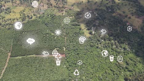 Futuristic-aerial-drone-view-of-the-forest-coverage