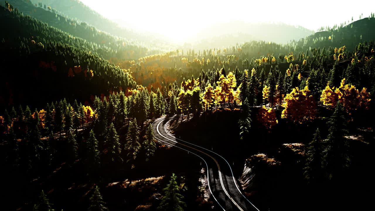 가을 숲 을 가로지르는 경치 좋은 휘어지는 길