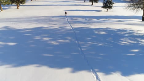 hiker walking on a snowy landscape 4k