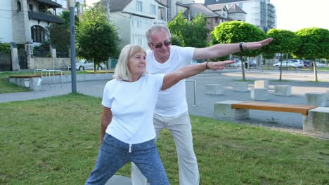 nature yoga and elderly couple doing outdoor exercise retirement or fitness workout nature yoga and elderly couple doing outdoor exercise retirement or fitness workout health freedom and elderly man and woman exercising or health balance