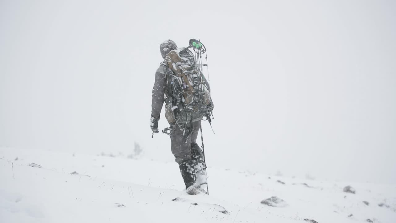 활 기: 몬태나에서 눈에서 사냥하는 엘크, 10 월 눈 폭풍 중에