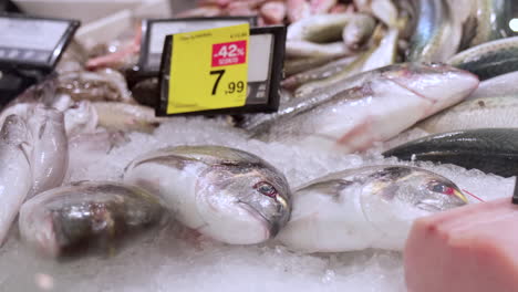 Exposición-De-Pescado-Fresco-En-La-Pescadería