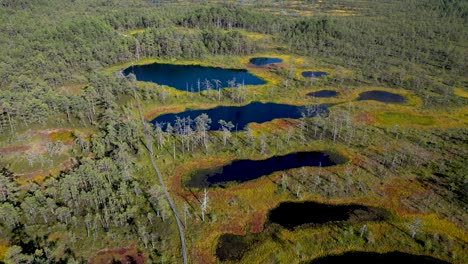 flying drone tilt up reveal over dark blue lakes at national park