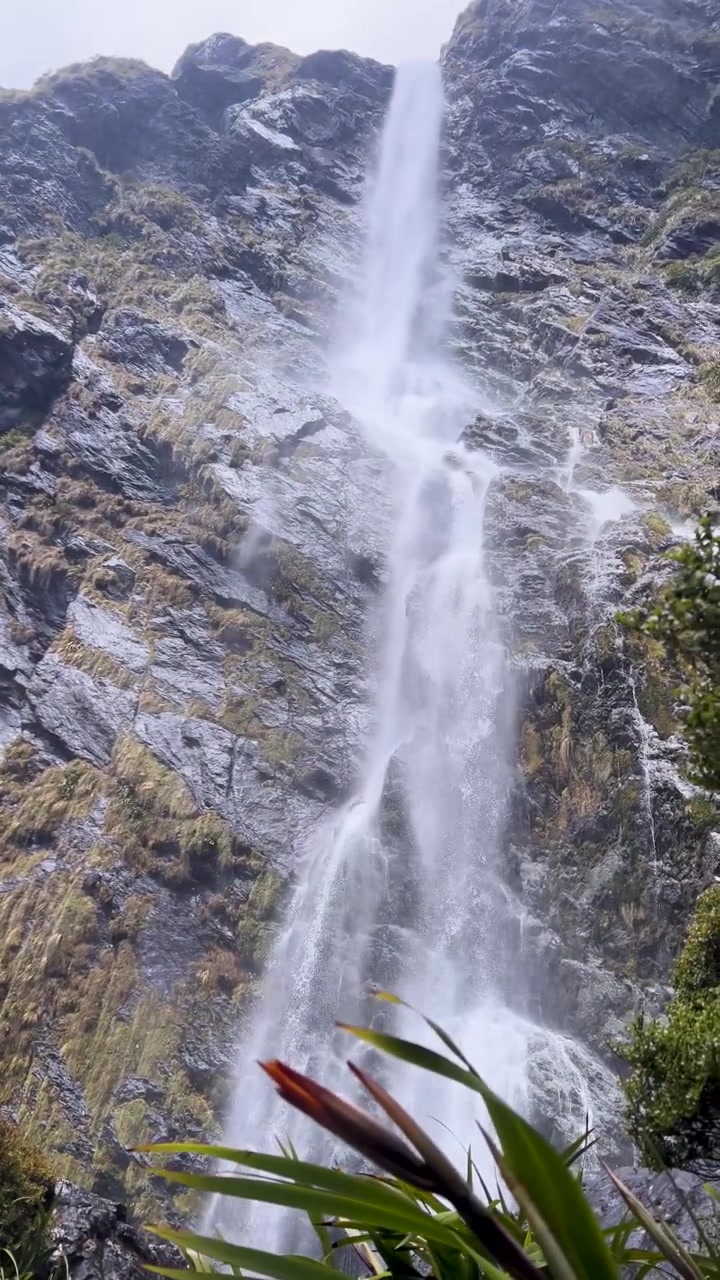 Filmato verticale ravvicinato di spruzzi nebbiosi di cascata che scendono lungo una parete rocciosa frastagliata con lino autoctono in primo piano, Cascate Earland.