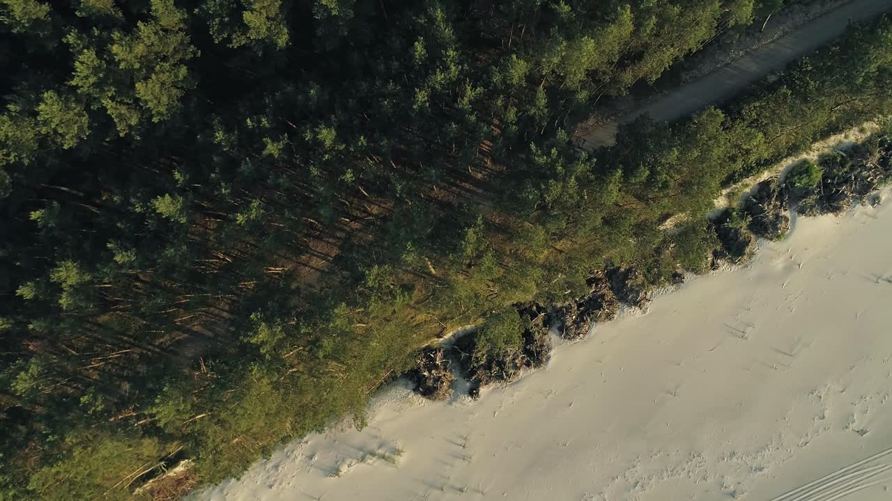 Un volo laterale con vista dall'alto sopra il sentiero tra gli alberi, proprio sulla spiaggia.
