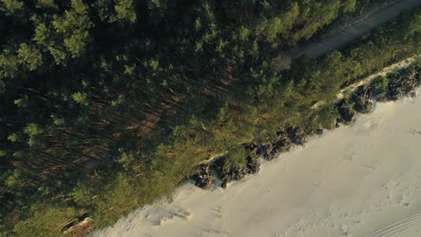 Ein-Seitlicher-Flug-Von-Oben-Nach-Unten-über-Den-Weg-Zwischen-Den-Bäumen-Direkt-Am-Strand