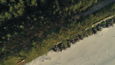 un vuelo lateral de arriba hacia abajo sobre el camino entre los árboles justo en la playa