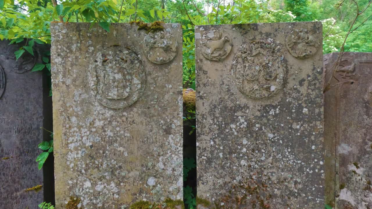 средневековый замок lielstraupe в деревне straupe в vidzeme, на севере латвии