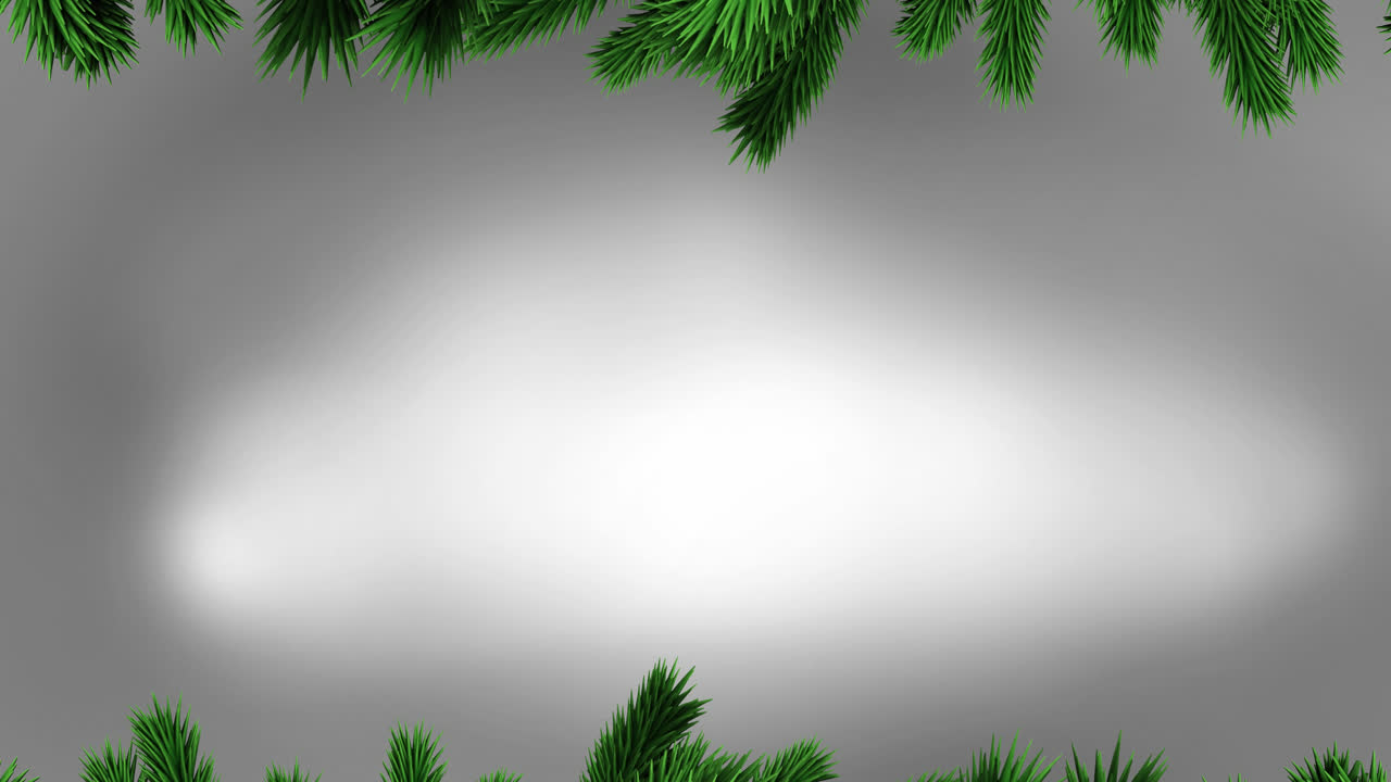 Animation of fir trees branches over white background