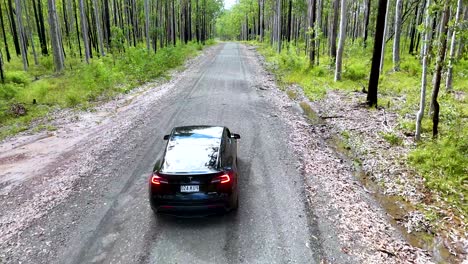 a black car travels down a straight, tree-lined dirt road in a lush forest. overhead drone shot, natural daylight, steady camera movement