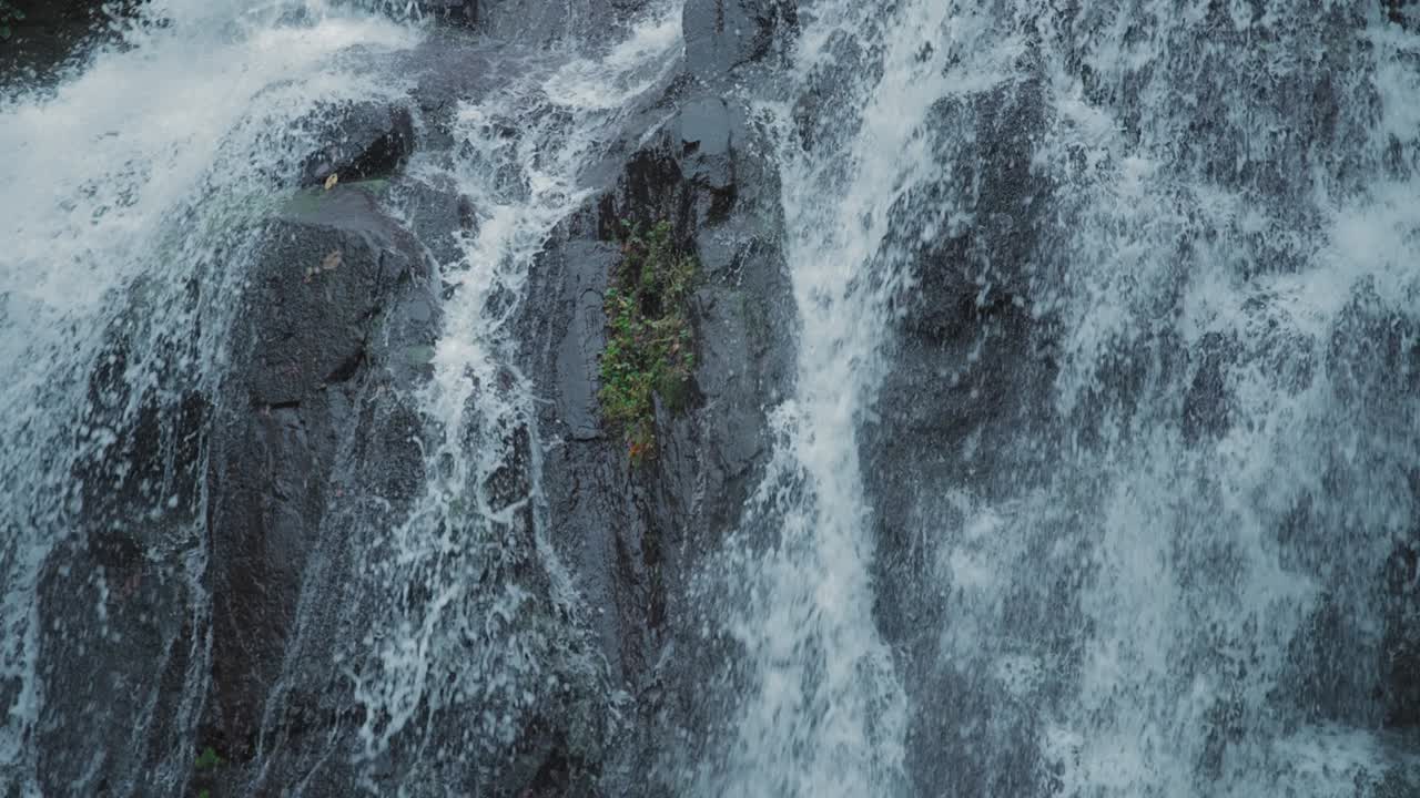 폭포는 돌 위에 폭포로 떨어집니다.