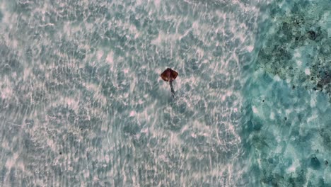Stingray-Nadando-En-Agua-De-Mar-Cristalina-En-Un-Día-Soleado-En-Filipinas