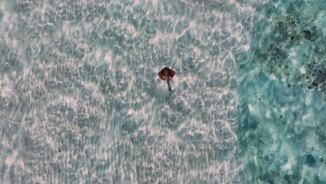 Stingray-Swimming-In-Crystal-Clear-Sea-Water-On-A-Sunny-Day-In-The-Philippines