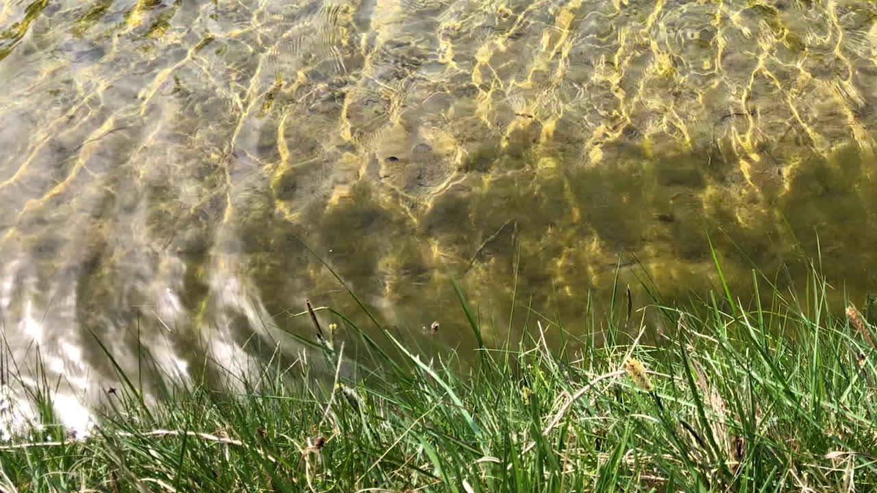 평화로운 수정처럼 맑은 물줄기가 흐르는 전망