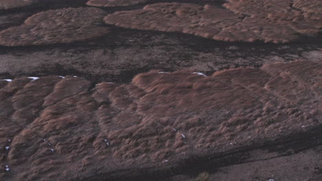 aerial flyover dried out marshall lake after heat summer in arizona,us