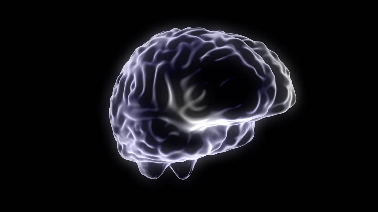 Brain hologram rotating loop 4k