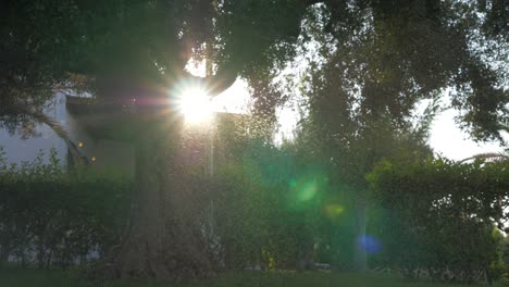 vista al jardín a través de gotas de agua en la luz del sol