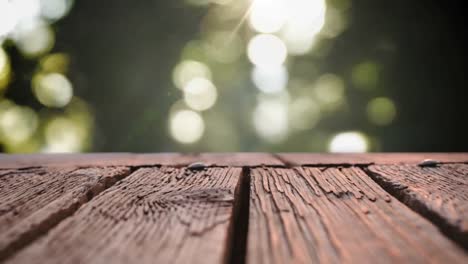 wooden deck and blurred background