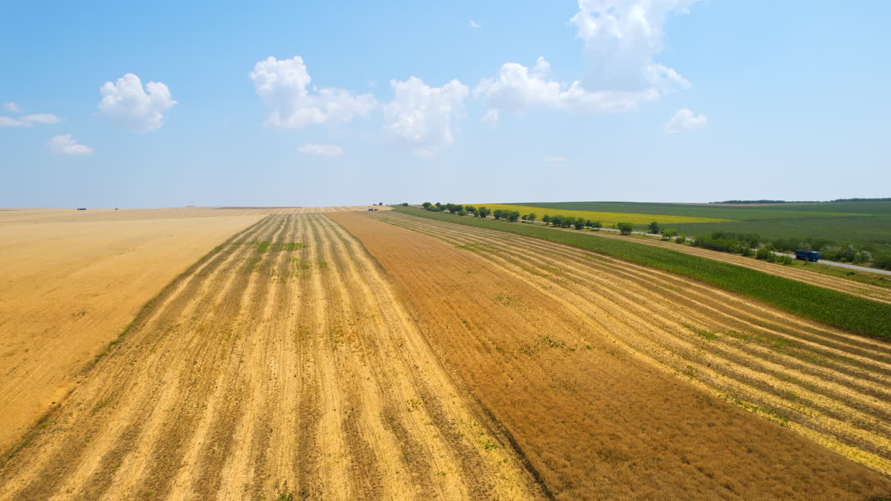 BACAU, RUMÄNIEN – JULI 2022: Luftaufnahme einer Erntemaschine bei der Ernte auf dem Feld, grüne Felder ringsum