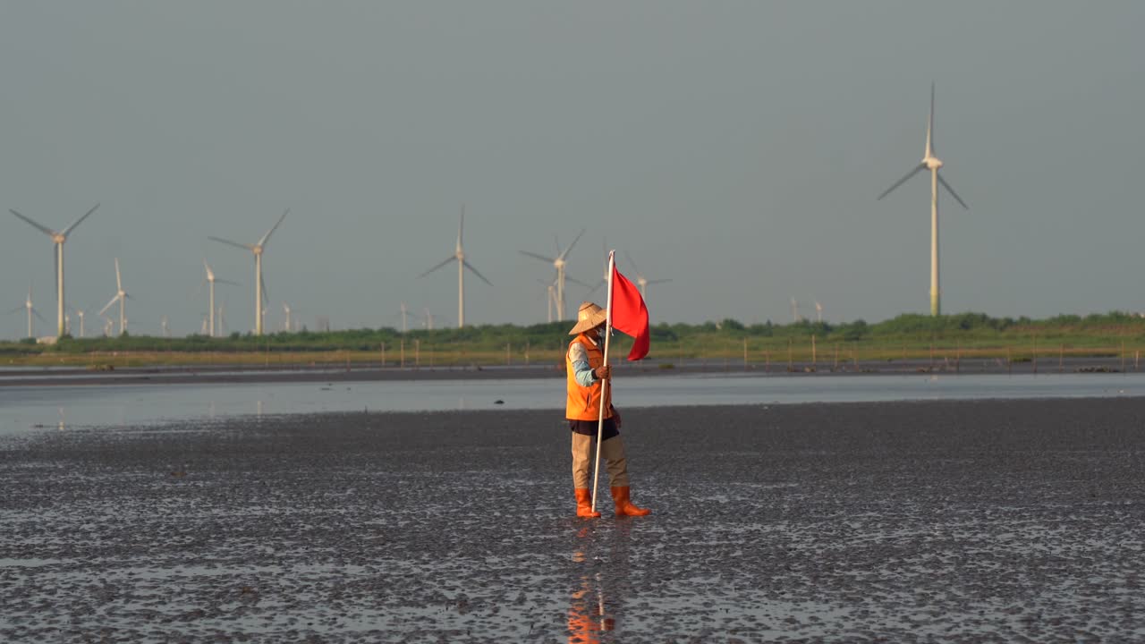 Person with Red Flag Surveying Wind Turbines in a Wetland