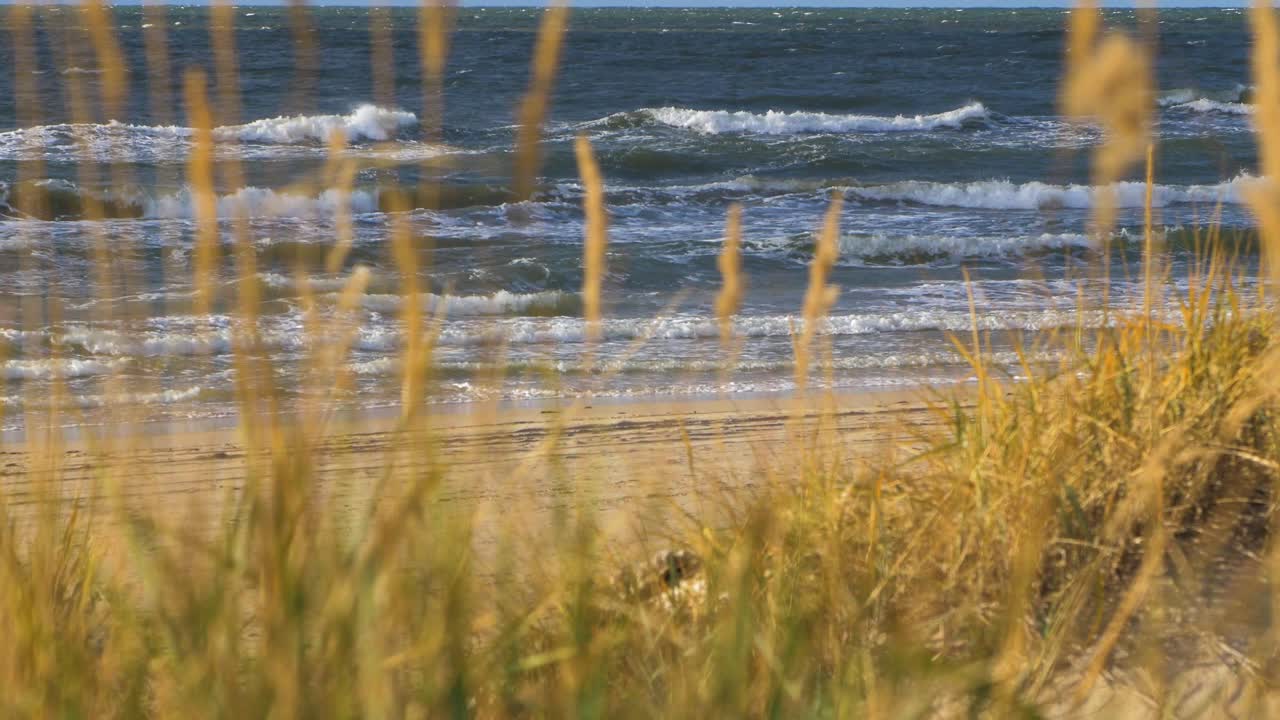 빈 발트해 해안선의 목가적인 전망, 전경의 죽은 노란 풀, 파도에 의해 손상된 가파른 해변 모래언덕, 하얀 모래 해변, 해안 침식, 기후 변화, 중간 샷