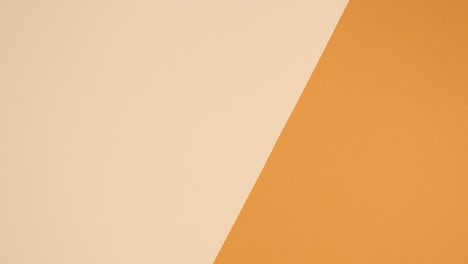 golden tropic palm leaves and golden copy space frame appear on nude background. stop motion