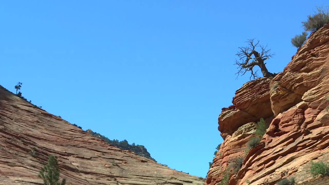 침식된 자이언 국립 공원 록키 캐년 풍경의 건조한 계층 슬로프