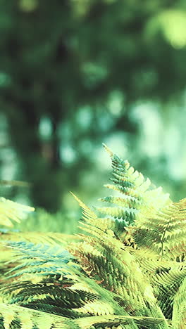 close-up of lush green ferns