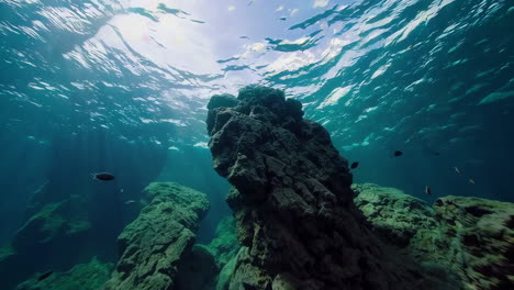 underwater exploration of a rocky reef