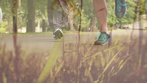 animation of group of caucasian male and female runners in park over grass