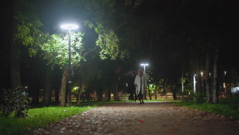 student walking peacefully along quiet park path at night surrounded by glowing lampstands and tall trees, with blurred motion of car lights in background