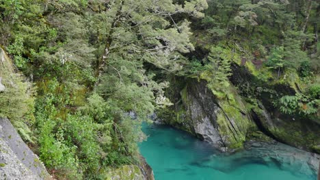 Tilt-down-damp-mossy-forest-scene-to-cold-clear-canyon-river-below