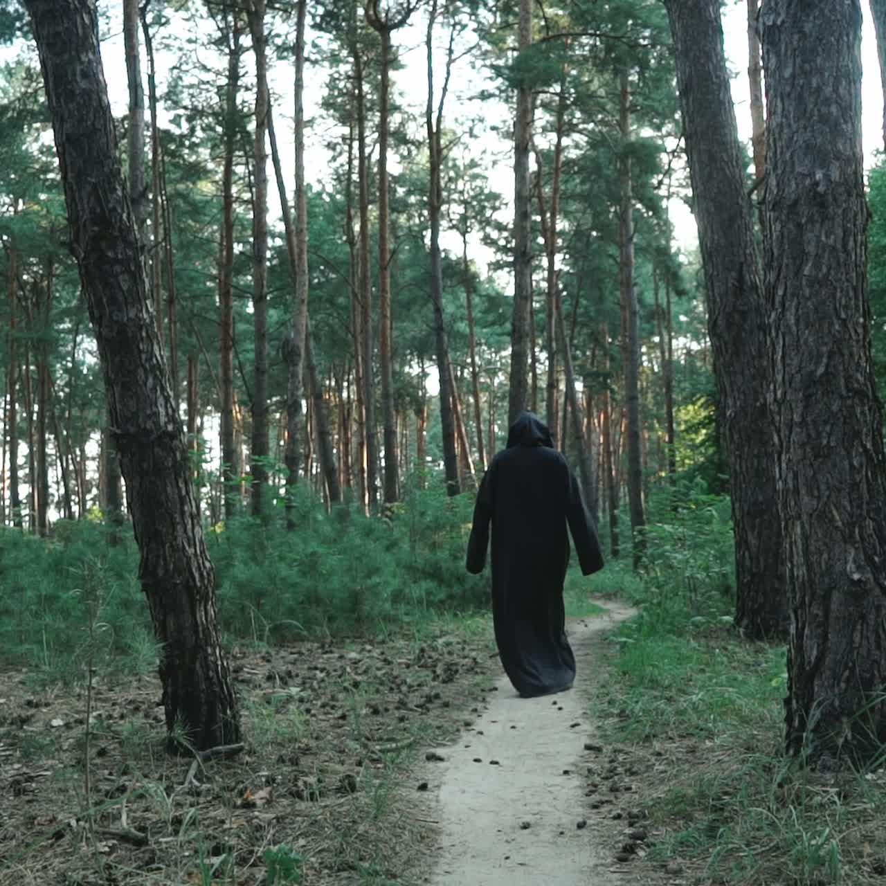 Evil ghost hooded creature walking across forest. Halloween
