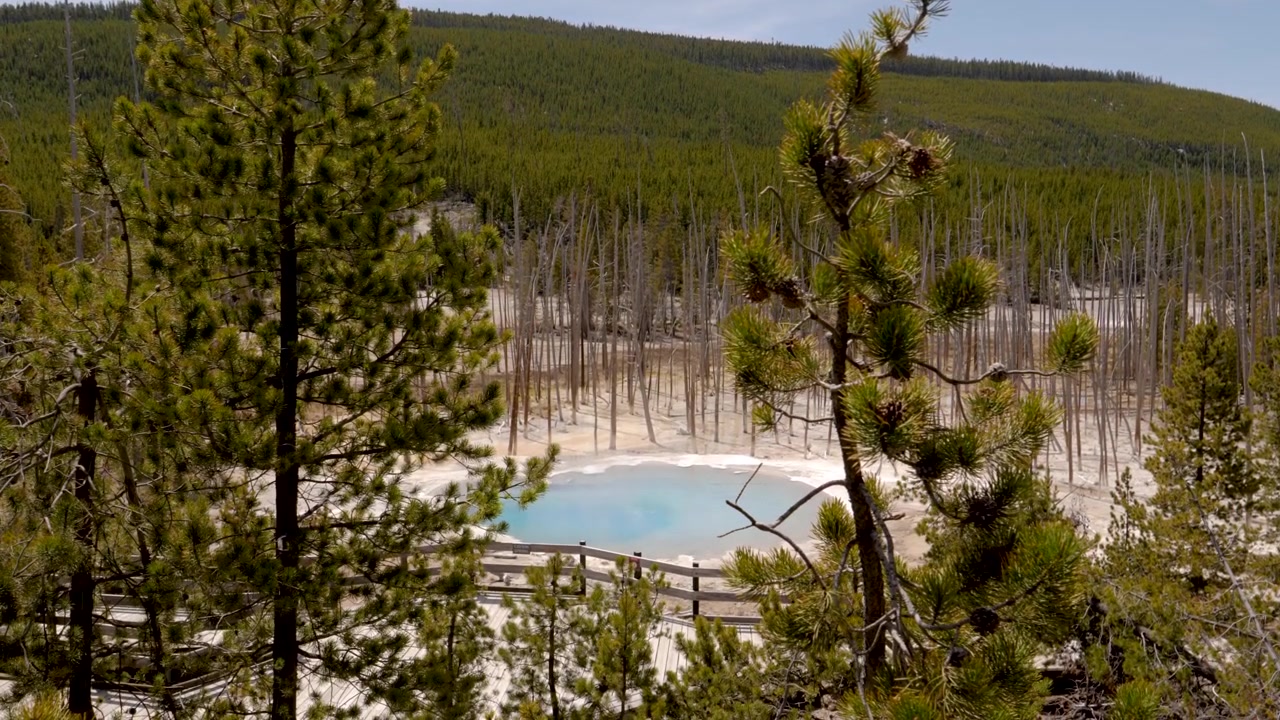 Hydrotermální jezírko Cistern Spring a les v Národním parku Yellowstone, Wyoming