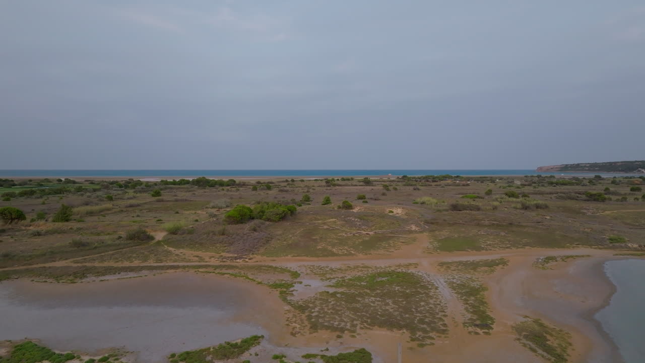 fotografía aérea de matorrales costeros al anochecer