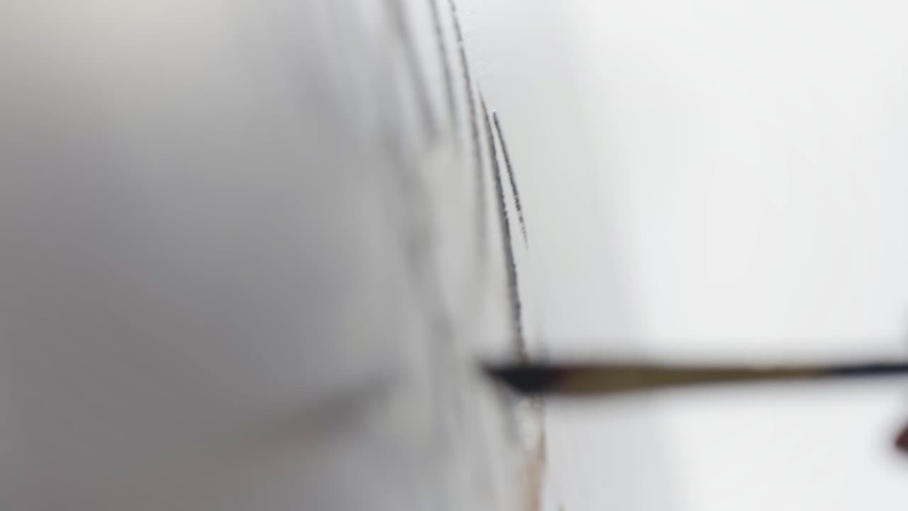 캔버스에 대한 예술가의 그림