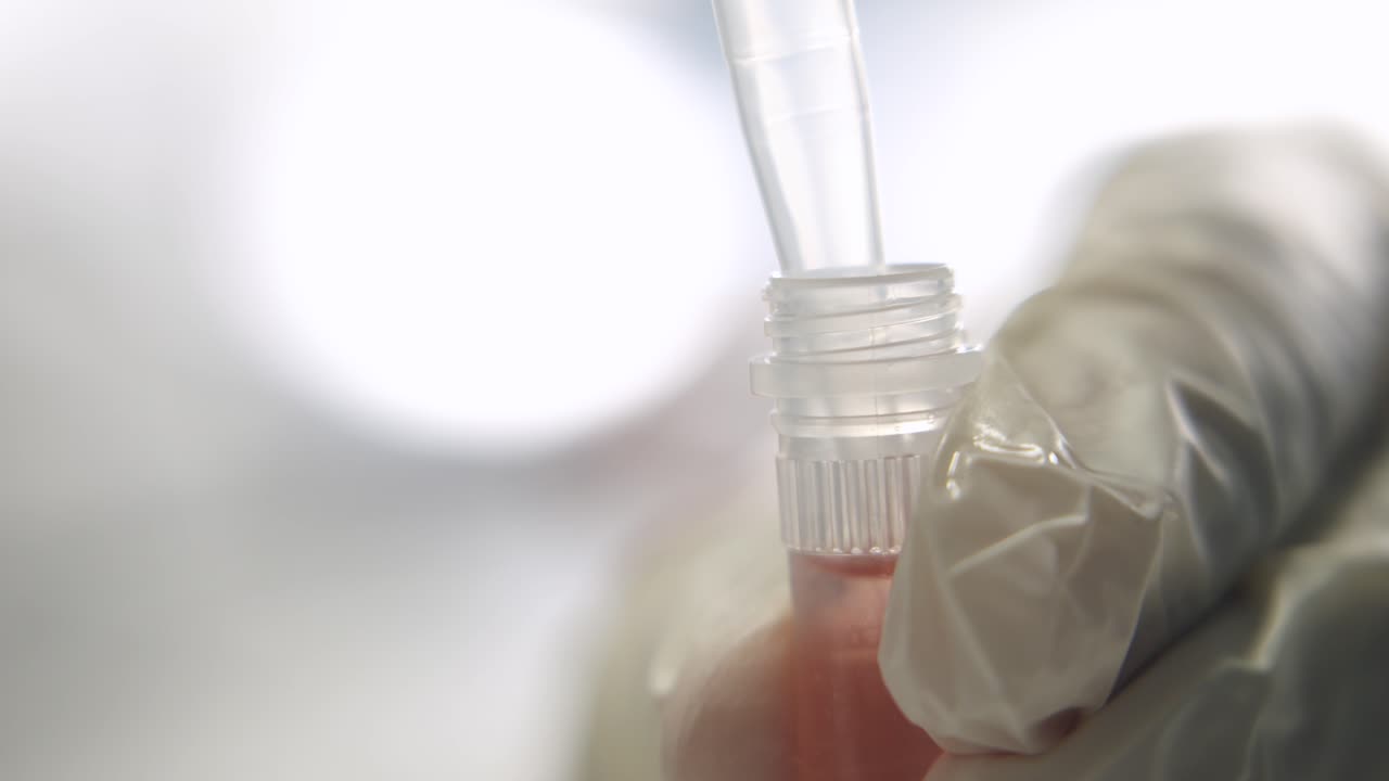 흡수 피을 사용하여 실험 튜브에서 플을 얻는 매크로 클로즈업