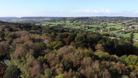 Toma-Aérea-Volando-Sobre-Los-árboles-Con-Vistas-Al-Valle-De-La-Nutria-Y-Al-Campo-De-East-Devon-En-Inglaterra