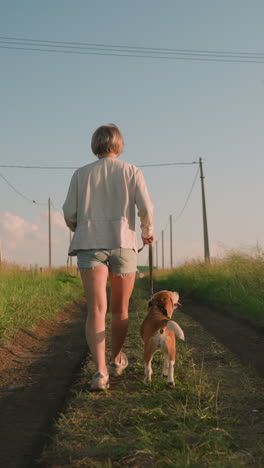 back view of woman walking with dog on dirt path lined with electric poles, holding leash while both stroll through grassy rural field under bright sunlight, distant buildings in background