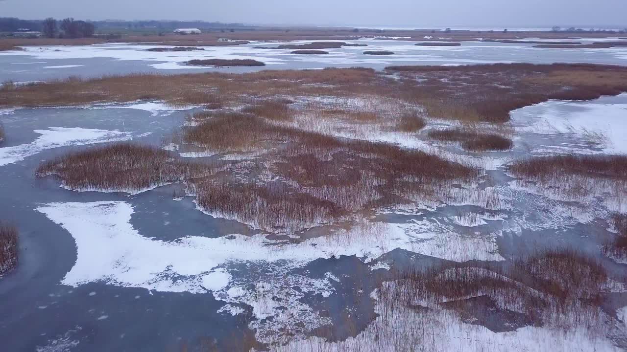 вид с воздуха на замерзшее озеро лиепая зимой, голубой лед с трещинами, сухие пожелтевшие островки камыша, пасмурный зимний день, широкий снимок с дрона, движущийся вперед
