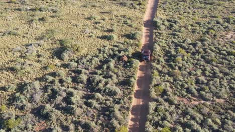 Aerial-follow-shot-of-person-hang-out-of-four-wheel-drive-vehicle-and-enjoying-adventure-in-Australia