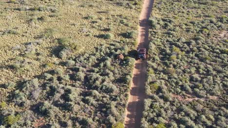 toma aérea de una persona que cuelga de un vehículo con tracción en las cuatro ruedas y disfruta de la aventura en australia