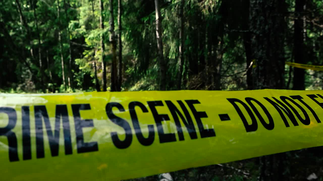 Vibrant and colorful yellow Crime Scene Do Not Enter tape ribbon pulled in front of a sunny and dark shadowy forest area during a warm day. The police tape is moving in the wind and reflecting light.